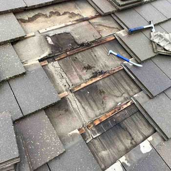 Damage to roofing underlayment caused by roof leak